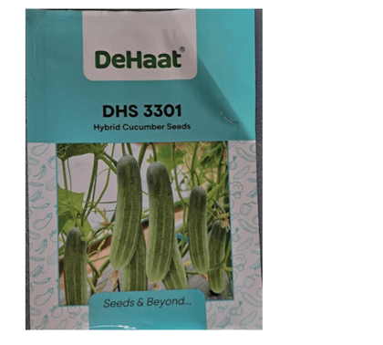 DHS 3301 HYBRID CUCUMBER SEEDS