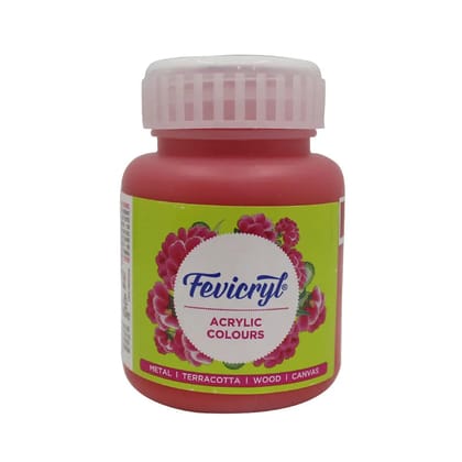 Coral red Acrylic Colours 100 ml /Pidilite Fevicryl