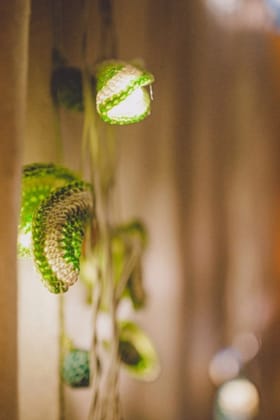 Samoolam Handmade Home Decor LED String Lights ~ Green Lily Bougainvillea