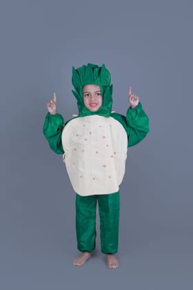 Potato Aloo Vegetable Kids Fancy Dress Costume-Rent / 2-3 years