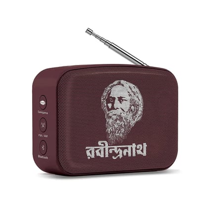 SAREGAMA MINI CARVAAN RAVINDRANATH