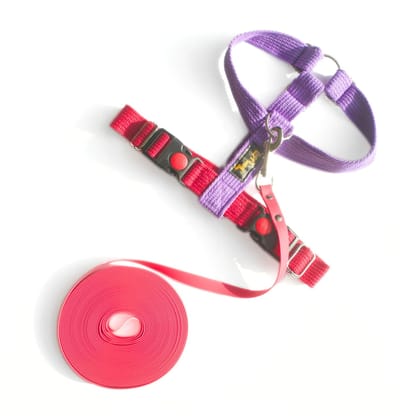 Long Line & H Harness COMBO-Large / Pink - Purple