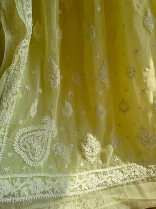 Georgette Chikankari saree in Lemon Yellow-Lemon Yellow