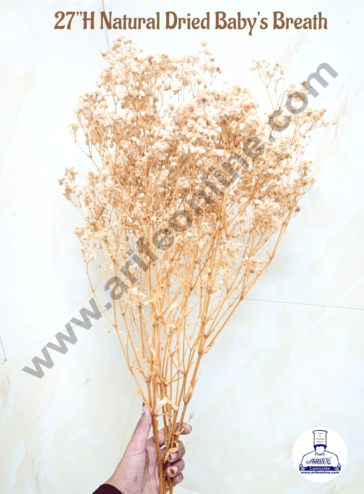 CAKE DECOR™ 1 Bunch Dried Babys Breath Flower Dried Flower Bouquet,100% Natural Gypsophila Branches  (Ivory)