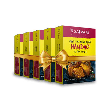 Handvo Instant Mix (5x400g)-(Pack of 5)