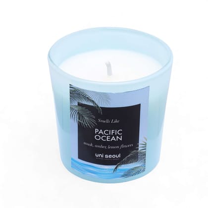 Pacific Ocean Scented Candle