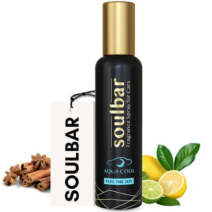 SOULBAR Luxury Car Freshener Spray - Aqua Cool, 80 ml, Free Perfume Dangler