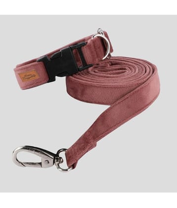 NUEVOS DOGGADIL - Light Blue Collar ( X-Large ) - None