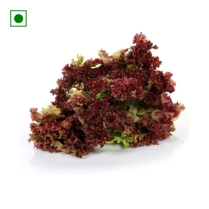 Fresh Lettuce Red, 1 Pc