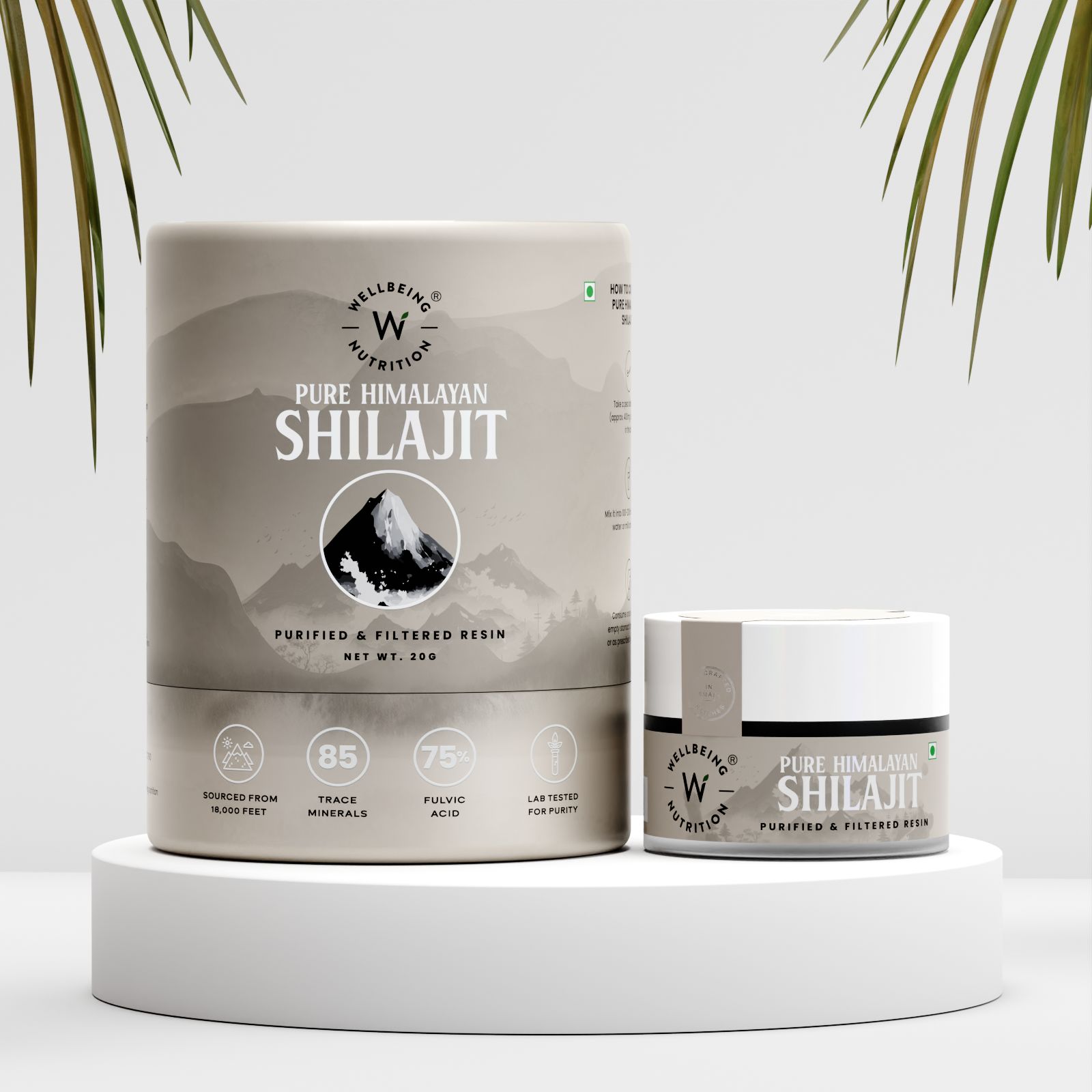 Shilajit Resin-Pack of 1