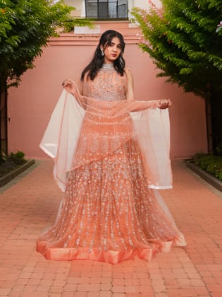 Net Fabric Gown with Pearl & Embroidery by Shreekama-Peach / Free Size