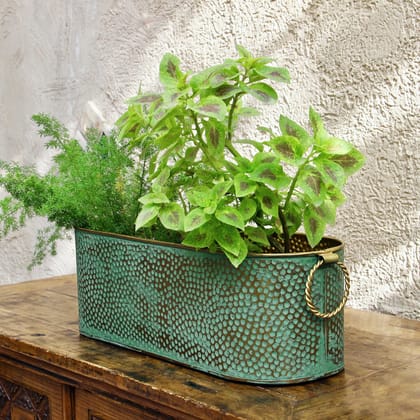 Green Oval Pot-Large