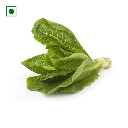 Fresh Lettuce Romaine, 1 Pc