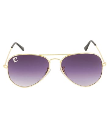 Clark n Palmer - Blue Pilot Sunglasses ( SB722 ) - Medium