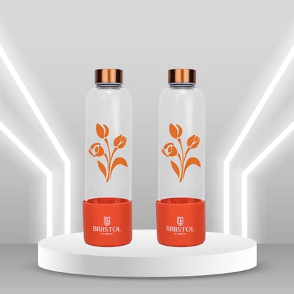 Gardenia | BGL 1042 | Set of 2 | 700 ml-Orange