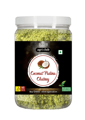 Agri Club Coconut Pudina Chutney, 200 gm