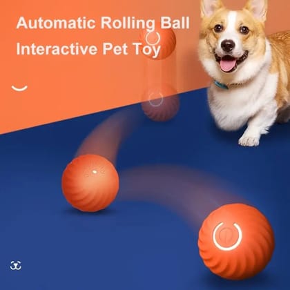 Rollpup™ -  The Ultimate Self Teasing Dog Ball