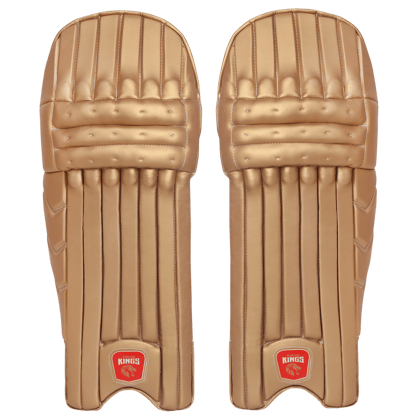 PBKS Begin Batting Leg Guard-Adult