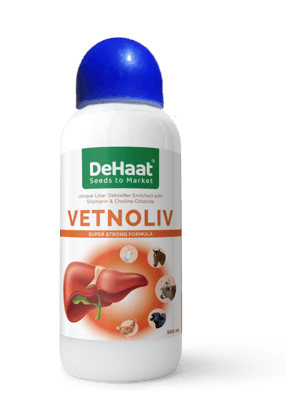 VETNOLIV