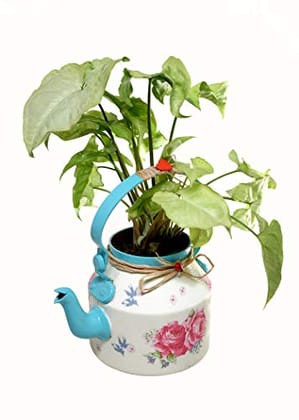 Beautifully Hand Crafted Kettle Planter - The Weaver's Nest-Blue