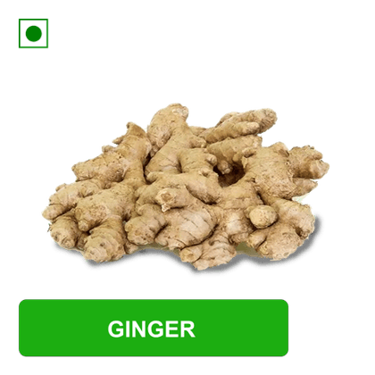 Ginger\, 100 gm Packed