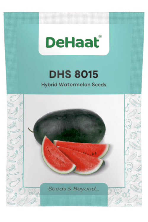 DHS 8015 HYBRID WATERMELON