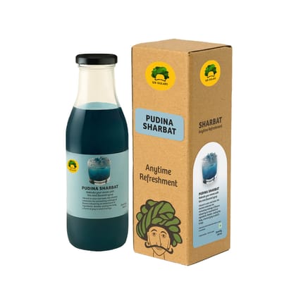 Pudina Sharbat (Mint Syrup), 500 ml