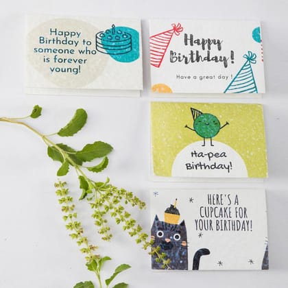 Seed Paper Birthday Cards with Envelopes  (Set of 12)