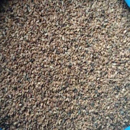 Sesame Seed - 1 kg