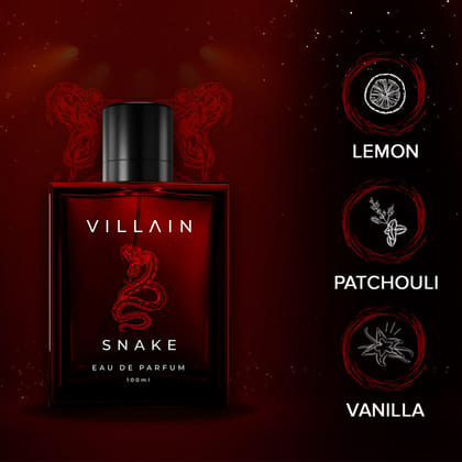 Villain Snake Eau De Parfum For Men 100ml-Villain Snake Eau De Parfum For Men 100ml - Default Title