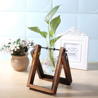 Unique Glass Planters-Single Flask (Set of 2)