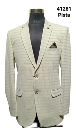 BALAJI CREATION Pista Mens 1Pcs Blazer XL