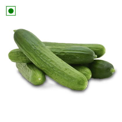 Hydroponics Snacking Seedless Cucumber, 500 gm Pouch Packed