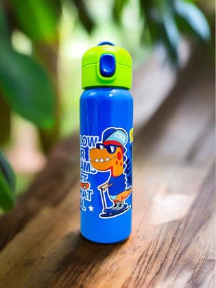 Trendy New Steel Sipper Bottle - 750 ML-Dino