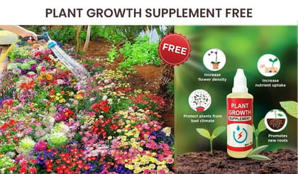 VARIETIES OF FLOWER SEEDS (PACK OF 100) AND FREE PLANT GROWTH SUPPLEMENT