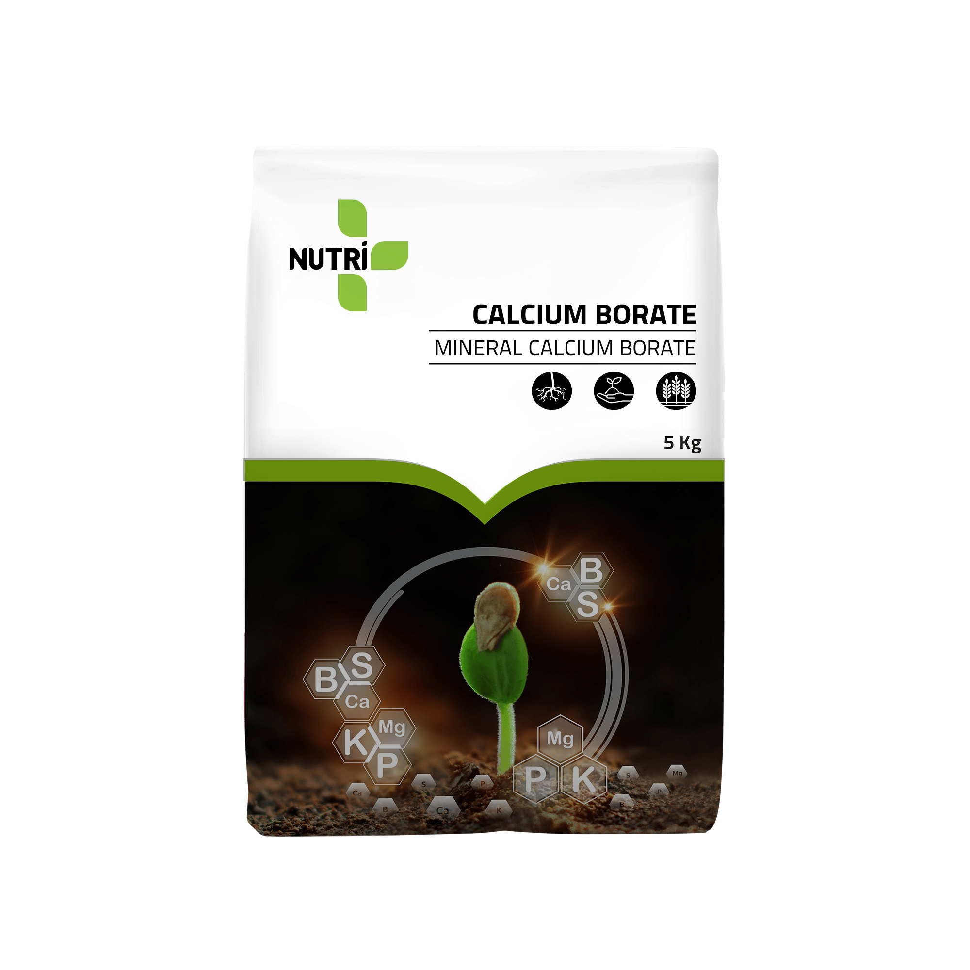 CALCIUM BORATE
