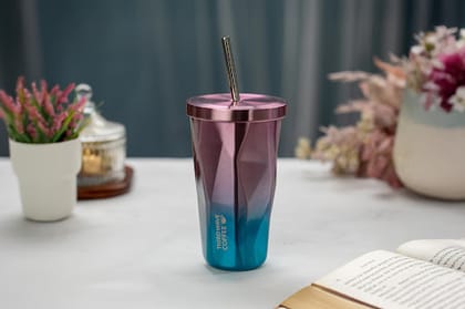 Travel Mug SS- 500ml