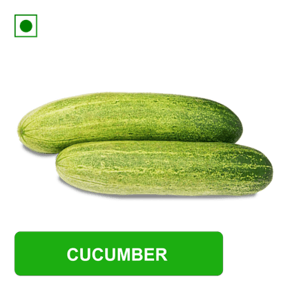 Cucumber\, 500 gm Packed