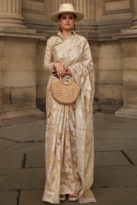 Dark Beige Lucknowi Chikankari Saree