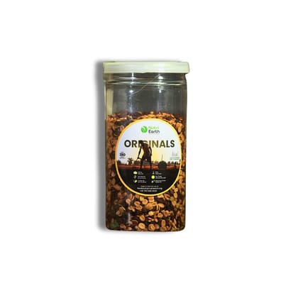 NutriEarth Panchari Mukhwas 100 Gms