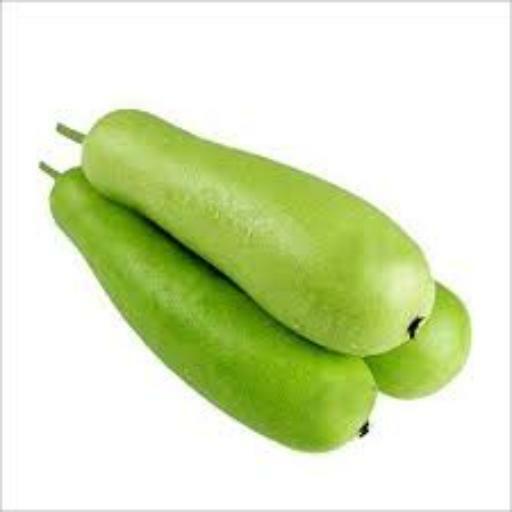 Bottle Gourd Long 1 kg