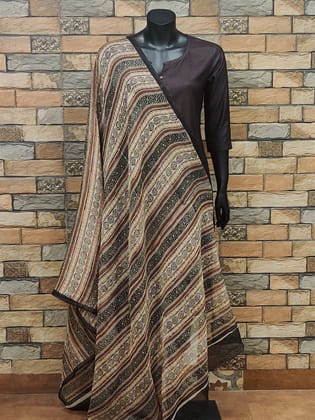 Rust Beige Block Printed Kota Doria Dupatta