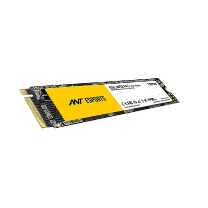 ANT Esports 690 Neo Pro M.2 NVMe 128GB SSD,Speed Upto 1100MB-s of Read, 600MB-s of Write