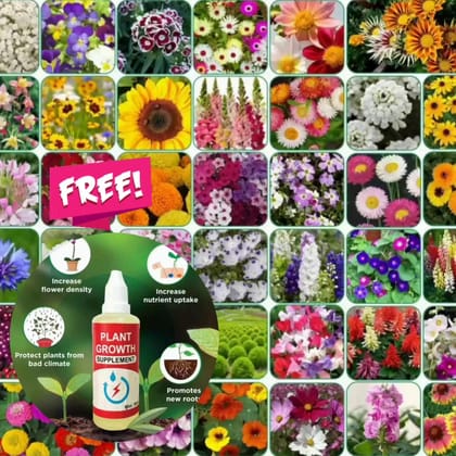 Flower Seeds (Pack of 50 varieties) And Get Plant Growth Supplement Free-Hybrid Seeds