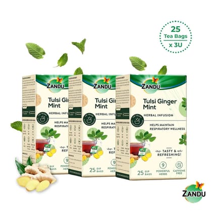 Tulsi Ginger Mint Herbal Infusion (25 Tea Bags)(Pack of 3)