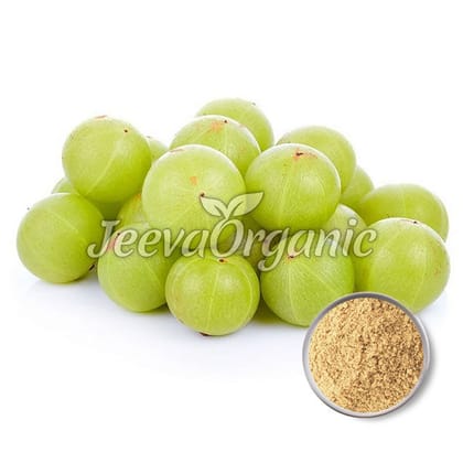 Organic Amla Powder-250gm