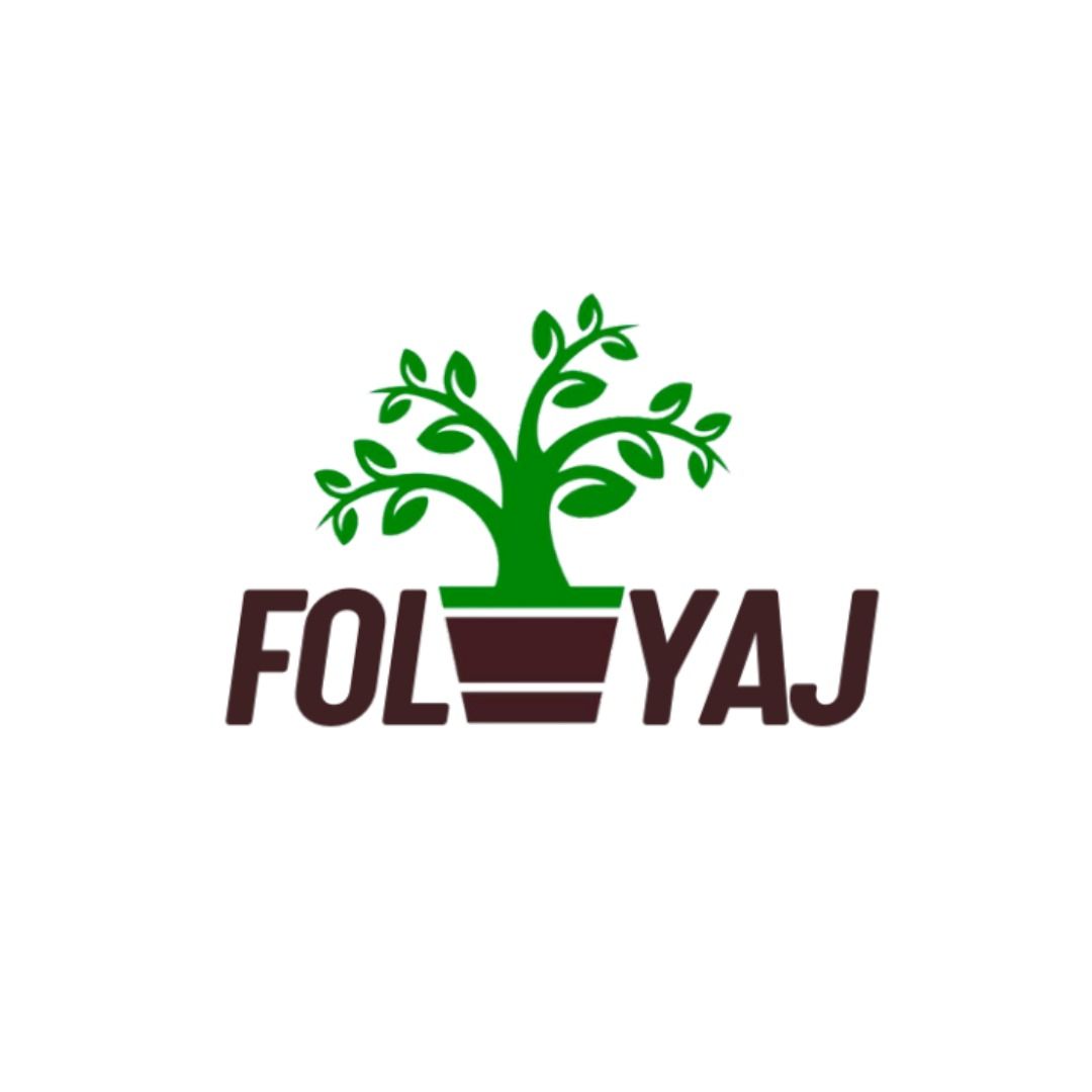 Foliyaj 3 Tall Fern Plant Bunches without Vase