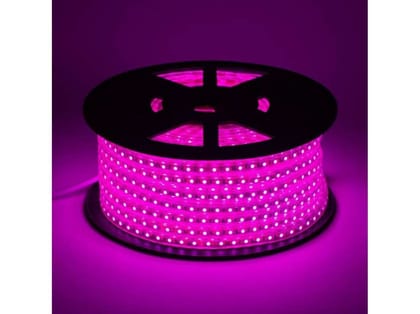 IMAGO 300 LEDs 5m Pink Rice Lights (Pack of 1)