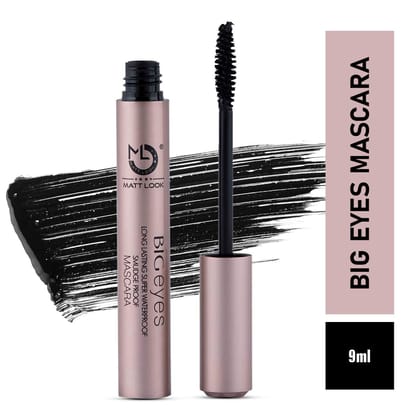 Big Eyes Long Lasting Mascara