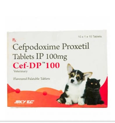 Sky ec Cef-dp 100 10 tablets